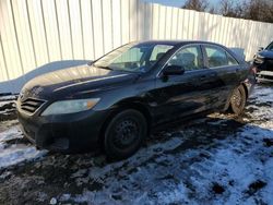 Toyota Camry salvage cars for sale: 2010 Toyota Camry Base