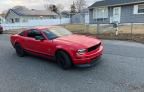 2008 Ford Mustang