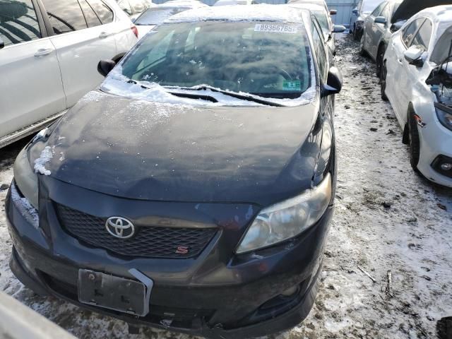 2010 Toyota Corolla Base