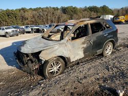 Salvage cars for sale at Florence, MS auction: 2014 KIA Sorento LX