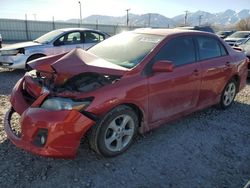 Toyota Corolla salvage cars for sale: 2011 Toyota Corolla Base