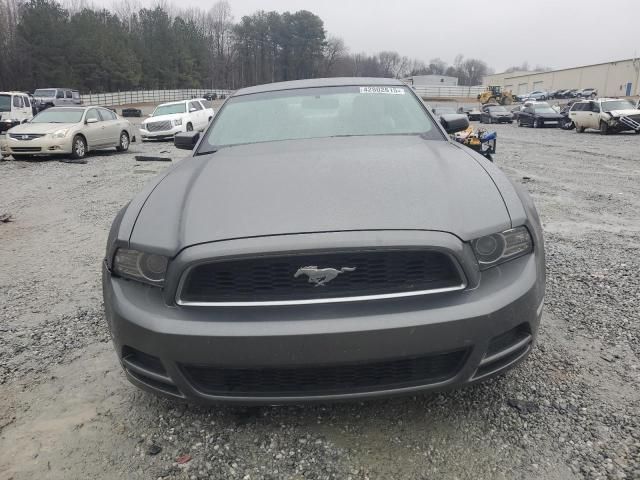 2013 Ford Mustang