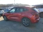 2024 Ford Escape ST Line