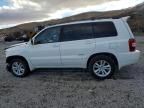 2006 Toyota Highlander Hybrid