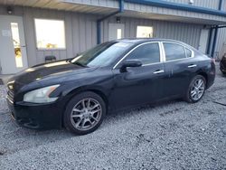 Salvage cars for sale at Earlington, KY auction: 2009 Nissan Maxima S