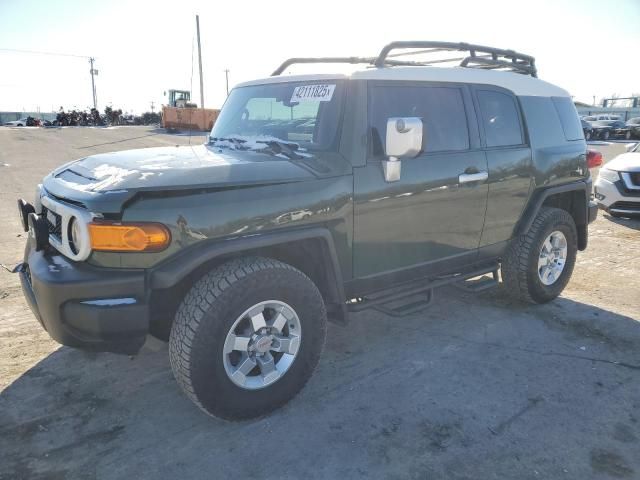 2010 Toyota FJ Cruiser