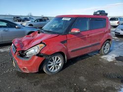 Salvage cars for sale at Earlington, KY auction: 2012 KIA Soul +