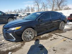 Salvage cars for sale at auction: 2024 Toyota Camry XLE