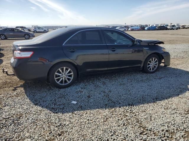 2010 Toyota Camry Hybrid