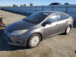 Ford Focus se salvage cars for sale: 2013 Ford Focus SE