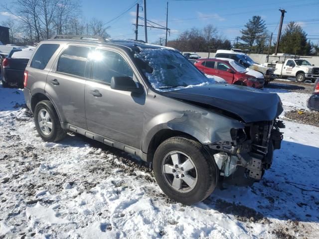 2010 Ford Escape XLT