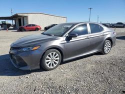 Salvage cars for sale from Copart Temple, TX: 2019 Toyota Camry L