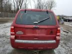 2011 Ford Escape XLS