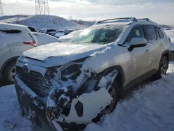 2024 Toyota Rav4 XLE en venta en Littleton, CO