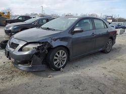 Salvage cars for sale at Louisville, KY auction: 2010 Toyota Corolla Base