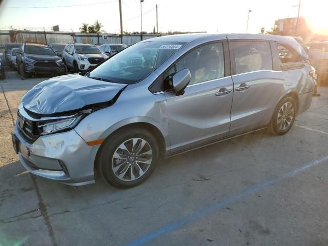 2024 Honda Odyssey EXL