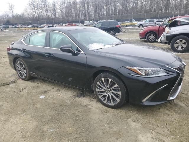 2020 Lexus ES 300H