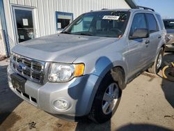 2012 Ford Escape XLT en venta en Pekin, IL