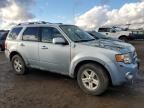 2008 Ford Escape HEV