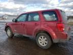 2008 Mazda Tribute I