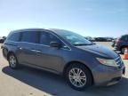 2013 Honda Odyssey EXL