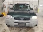 2002 Ford Escape XLT