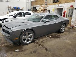 Salvage cars for sale at auction: 2012 Dodge Challenger SXT