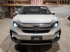 2019 Honda Pilot EXL