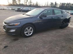 Salvage cars for sale at Finksburg, MD auction: 2019 Chevrolet Malibu LS