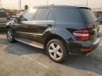 2009 Mercedes-Benz ML 350