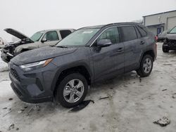 Toyota rav4 xle salvage cars for sale: 2025 Toyota Rav4 XLE