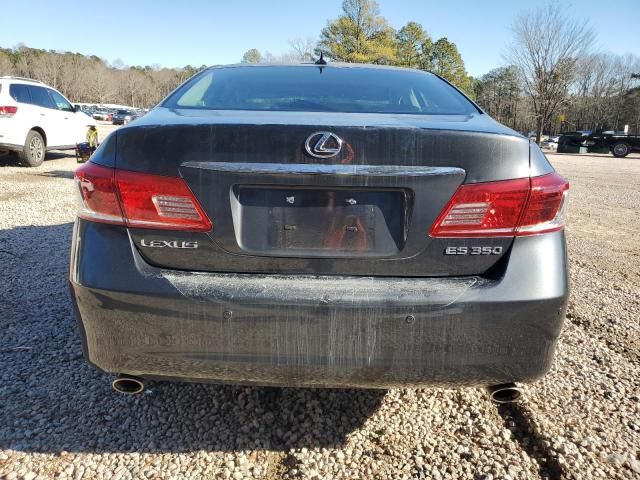 2010 Lexus ES 350