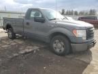 2009 Ford F150