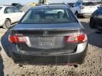 2010 Acura TSX