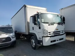 Chevrolet c/k6500 salvage cars for sale: 2019 Chevrolet 6500XD