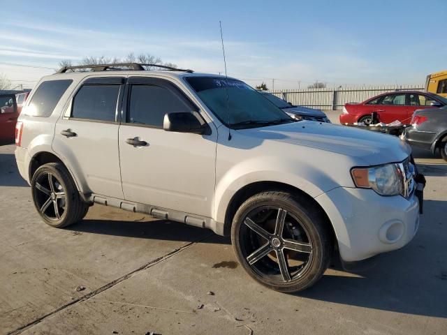 2010 Ford Escape XLT