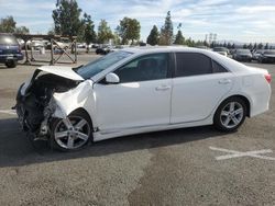 Salvage cars for sale at Rancho Cucamonga, CA auction: 2013 Toyota Camry L