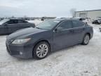 2013 Lexus ES 300H