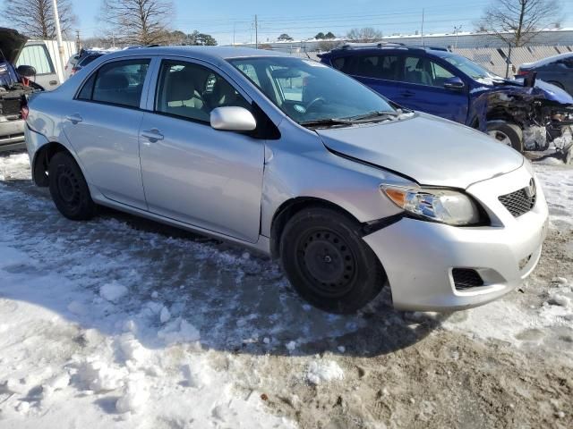 2010 Toyota Corolla Base