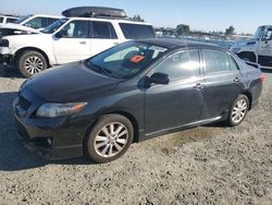 Salvage cars for sale at Antelope, CA auction: 2010 Toyota Corolla Base