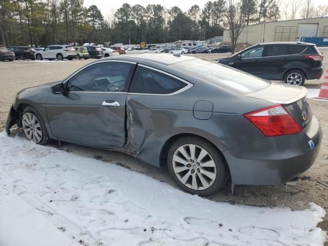 2009 Honda Accord EXL