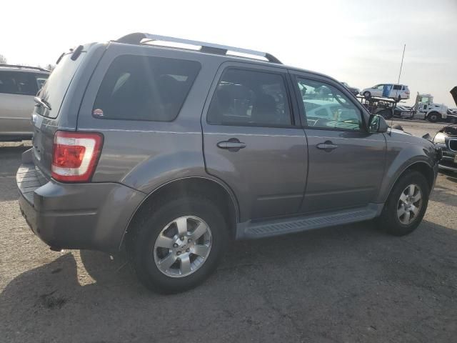 2011 Ford Escape Limited