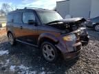 2008 Honda Element SC