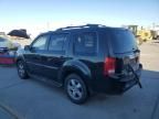 2010 Honda Pilot EXL