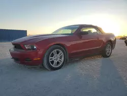 Salvage cars for sale at Arcadia, FL auction: 2010 Ford Mustang