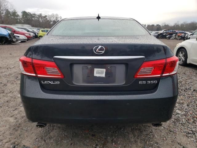 2010 Lexus ES 350