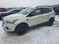 Salvage cars for sale at Wayland, MI auction: 2017 Ford Escape SE