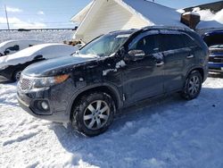 KIA Sorento salvage cars for sale: 2013 KIA Sorento LX