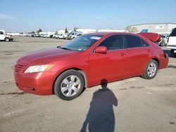 Salvage cars for sale at Bakersfield, CA auction: 2008 Toyota Camry CE