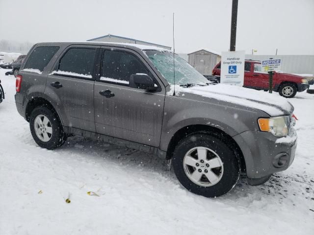 2011 Ford Escape XLS